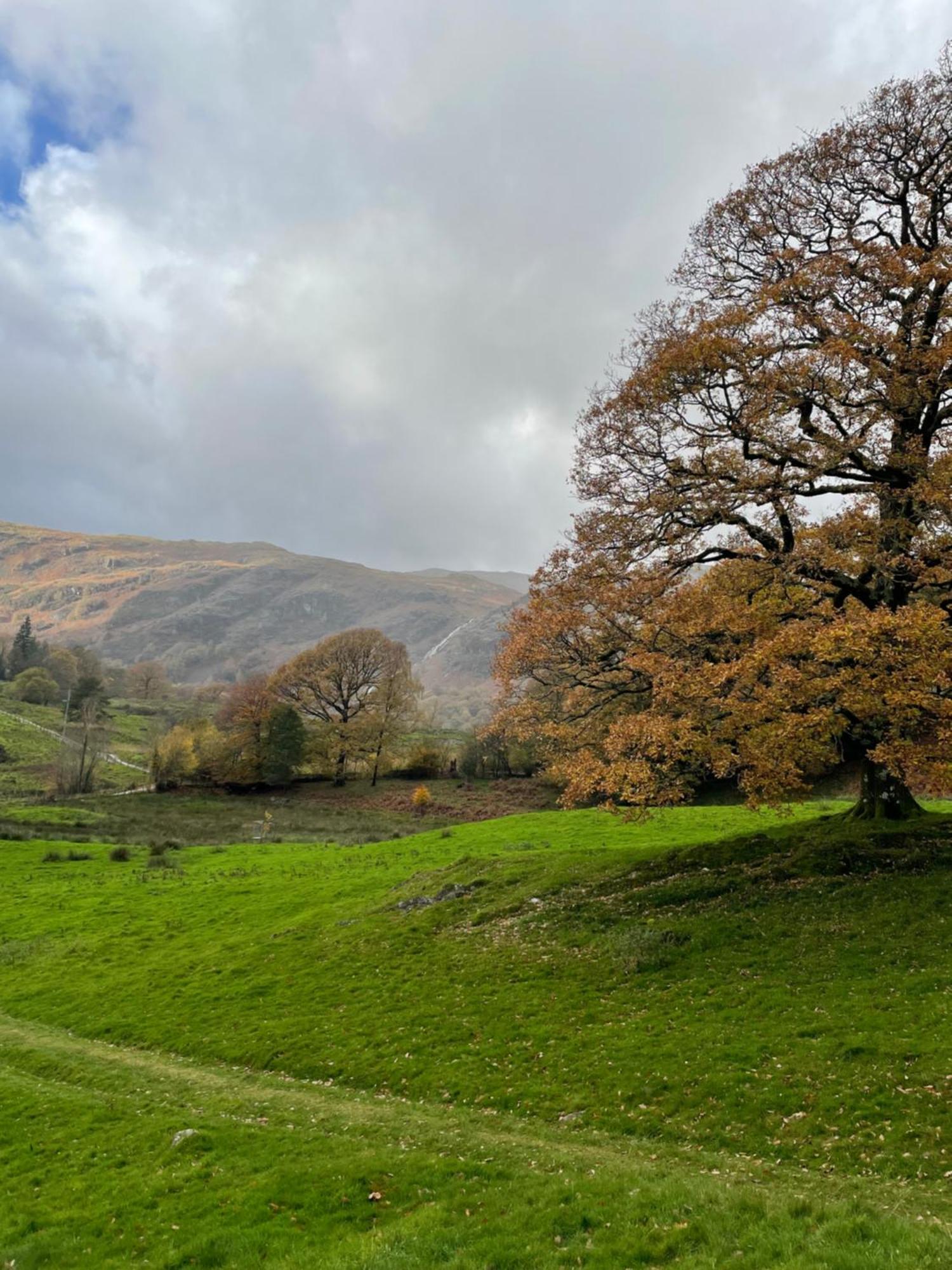 Grizedale View Apartment Coniston Bagian luar foto