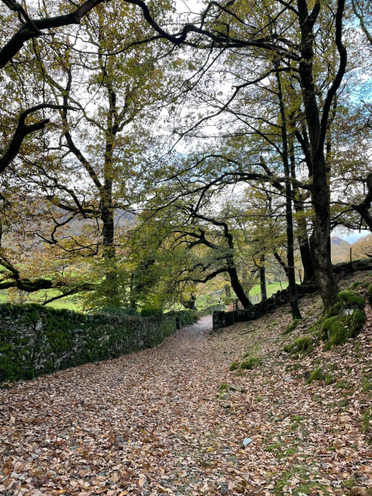 Grizedale View Apartment Coniston Bagian luar foto